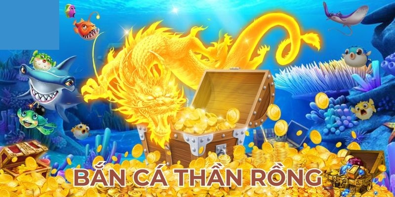 Chiến lược săn cá hiệu quả cao