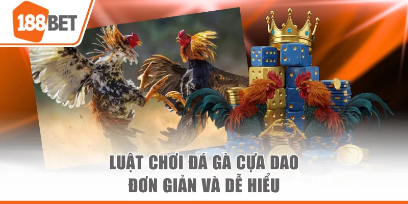 Luật chơi đá gà cựa dao đơn giản và dễ hiểu