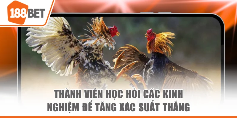 Thành viên học hỏi các kinh nghiệm để gia tăng xác suất thắng