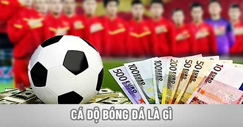 ca do bong da
