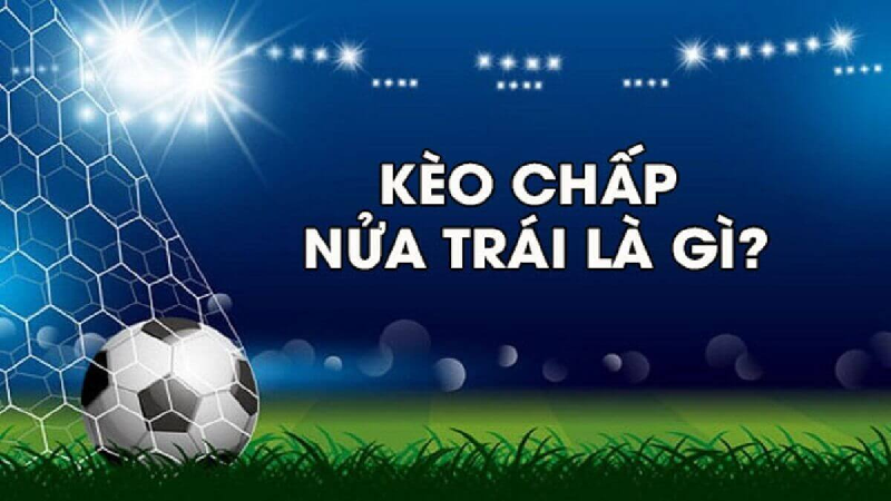 Hướng dẫn cách soi kèo chấp 0.5/1 là gì hiệu quả