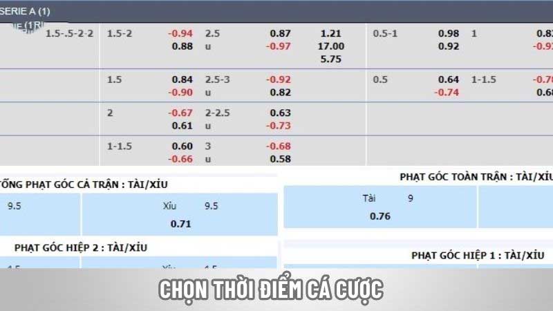 Chọn thời điểm cá cược
