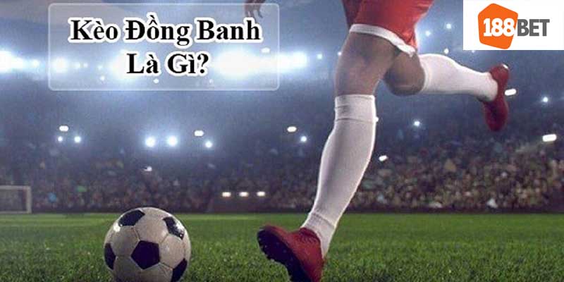 keo dong banh thumb